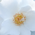Bijela  - Polianta ruže  - Milly™